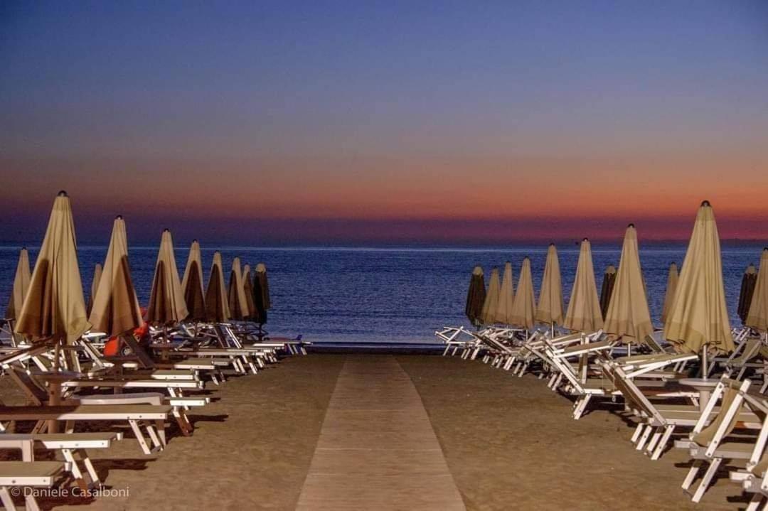 Alexandra Plaza Hotel Riccione Zewnętrze zdjęcie